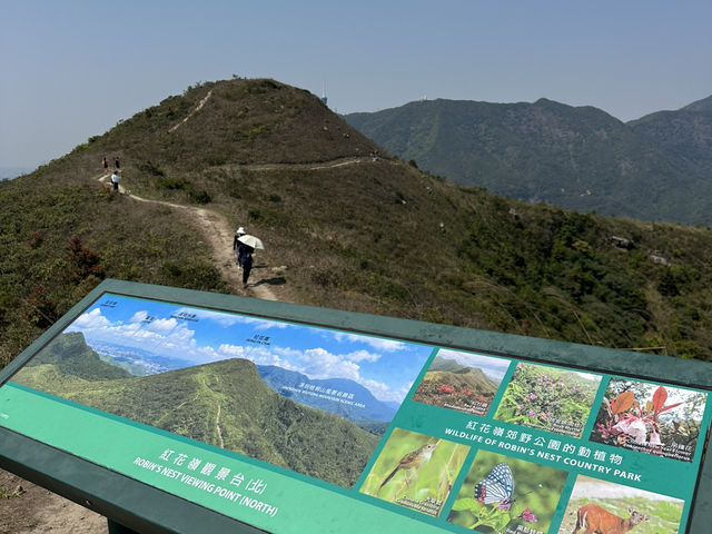 探險紅花嶺：沙頭角的自然與歷史之旅