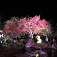 耶馬溪ダム記念公園 溪石園
