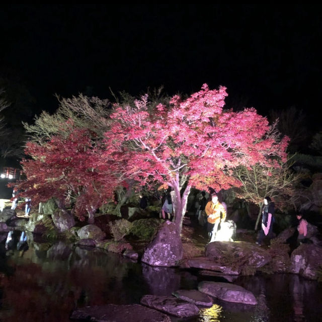 耶馬溪ダム記念公園 溪石園