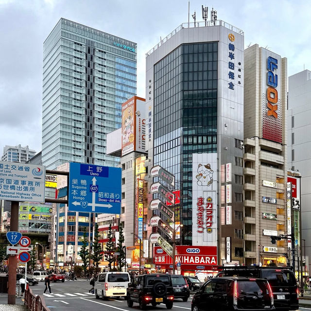 秋葉原動漫與電器隱世店鋪攻略🎸