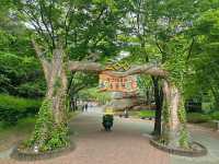 Ulsan Grand Park: South Korea’s Largest Urban Oasis