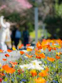 New York Botanical Garden – A Living Museum in the Bronx