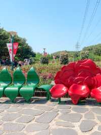 2025 울산대공원 장미축제🌹