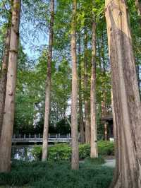Hangzhou Botanical Garden