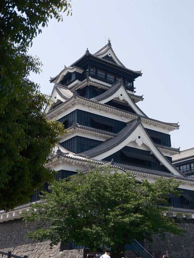 400年歷史🏯日本熊本城半日遊