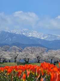 From Kawaguchi to Atami via Shizuoka