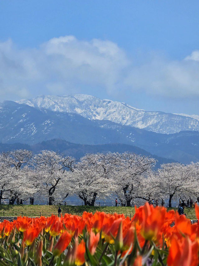 From Kawaguchi to Atami via Shizuoka