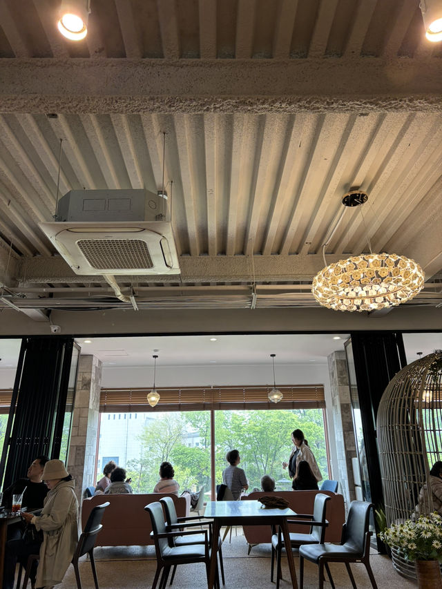반려동물과 뛰어놀 수 있는 일산 카페🤩