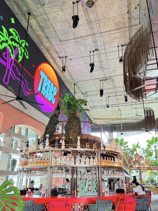 曼谷網紅泳池咖啡店💕TRIBE Sky Beach Club