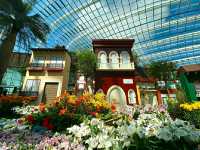 Gardens by the Bay – Singapore’s Futuristic Green Wonderland