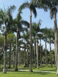 端午節好去處｜台北大安森林公園的節日體驗