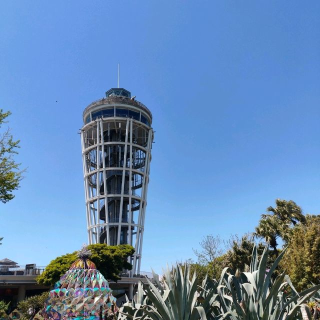 Sunlit Serenity at Cocking Garden and Enoshima Candle