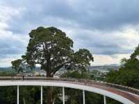 ตอนนี้ระนองมีSky Walk แล้วนะ