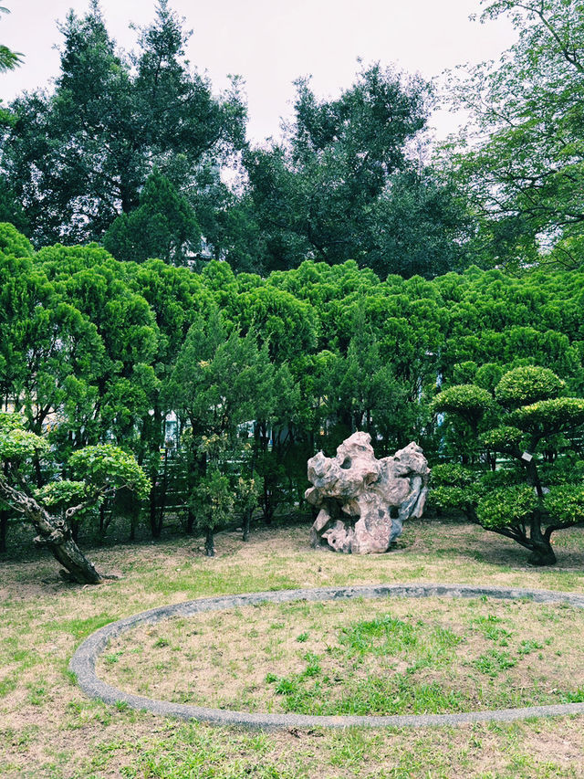 賈炳達道公園｜香港深度遊的單車與社區綠洲