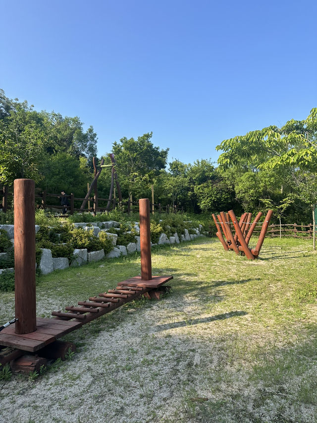 🌳 통영생태숲에서 자연과 한몸이 된 하루! 🍃
