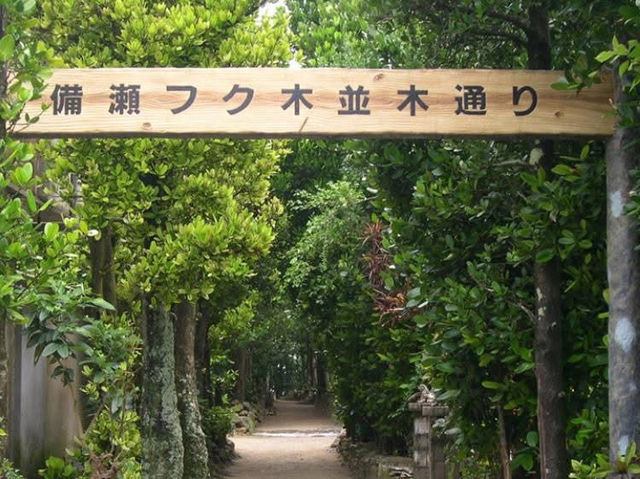 沖繩🇯🇵 美麗海水族館周邊一日遊