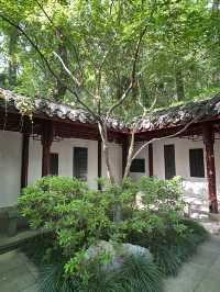 Discover Hangzhou’s Hidden Calm: Peaceful Escapes