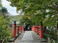 Kaede Bridge: A Tiny Slice of Izu's Timeless Charm
