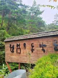 지도에도 없는 마을 동막골 💚