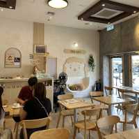 香港首間刺蝟主題cafe🦔