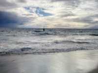  เดินเล่นริมทะเลที่ Cottesloe Beach