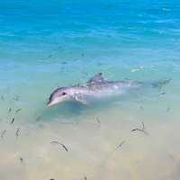Exmouth and Coral Bay. The best Australian secret spot!