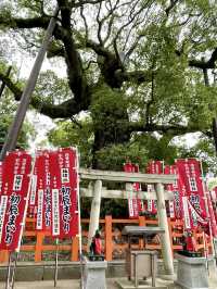 Slow Strolls in Osaka – A Peaceful Day Away from the Crowd