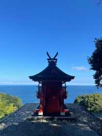 自然とアートが融合した美しすぎる美術館🌿🤍