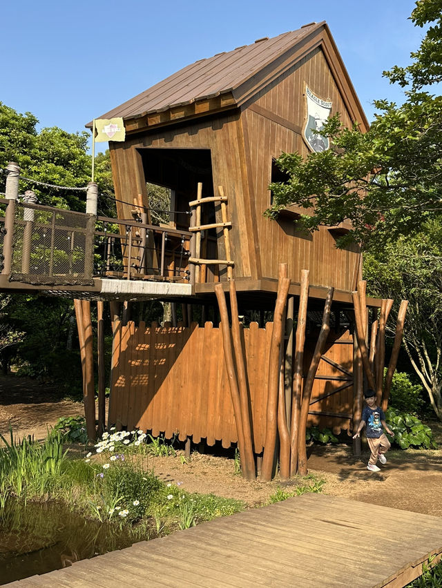 濟州島 snoopy garden 史努比樂園