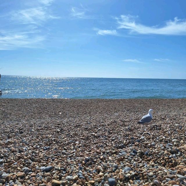 Brighton Beach & Pier, East Sussex