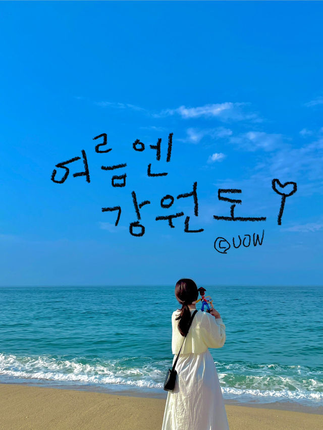 여름엔 시원하게 강원도 바다에서 힐링🌊🐳🐟