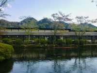 Serenity by the Spring: Strolling Through Oshino Hakkai