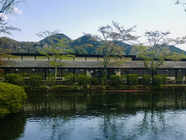 Serenity by the Spring: Strolling Through Oshino Hakkai