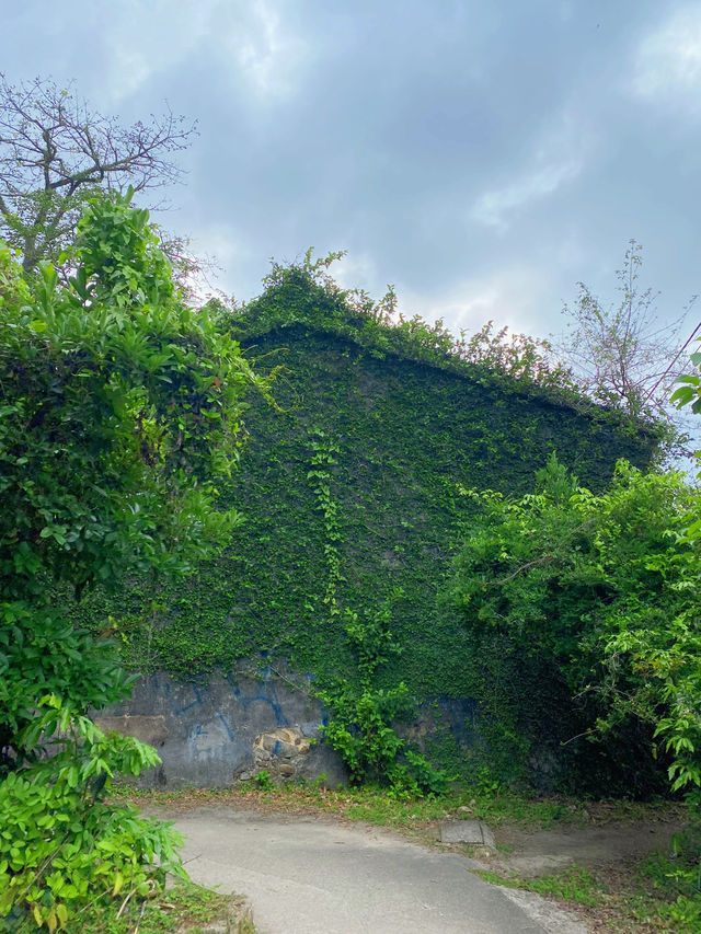 香港｜歷史悠久的山中之村落——赤徑村🏠🌳