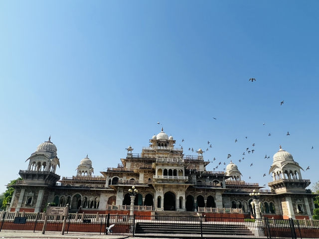 Wandering through Jaipur – the Pink City that stole my heart 