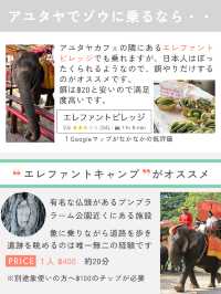 もはや観光名所 タイ カフェ 6選