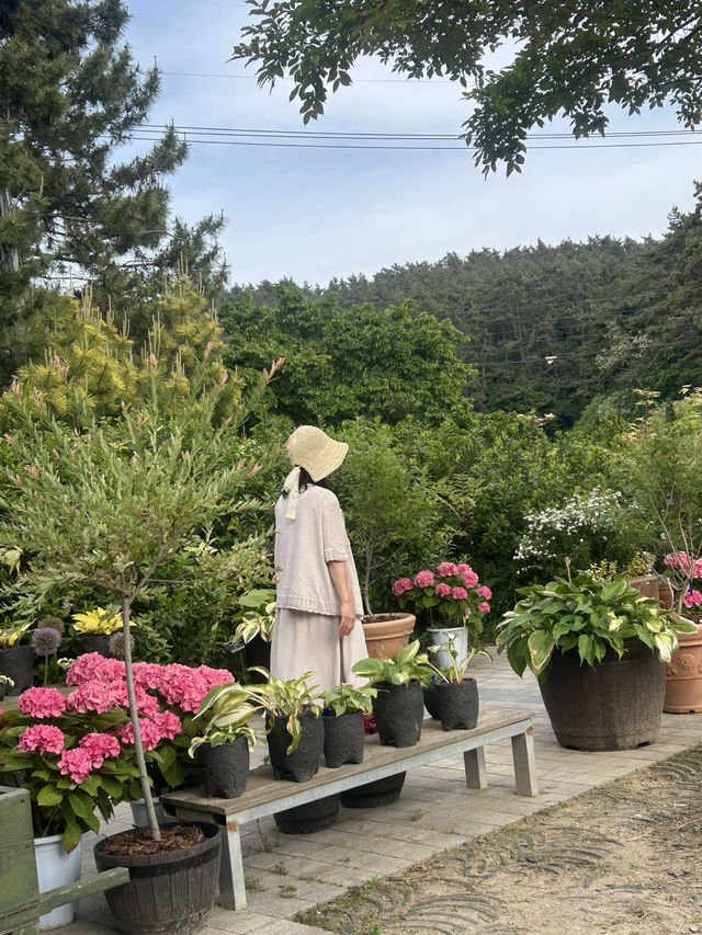 📚 식물의 보고, 배우고 감탄하는 천리포수목원 