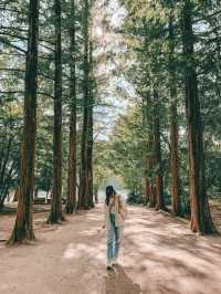 📍南怡島🇰🇷Nami Island🌸🌳🍁☃️一年四季都可以到訪既小島🤍