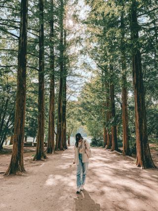 Nami Island: A Year-Round Destination