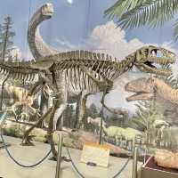 激安🦖✨️見応え抜群博物館