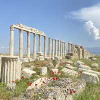 【穴場】現在進行形で発掘中の古代遺跡🇹🇷