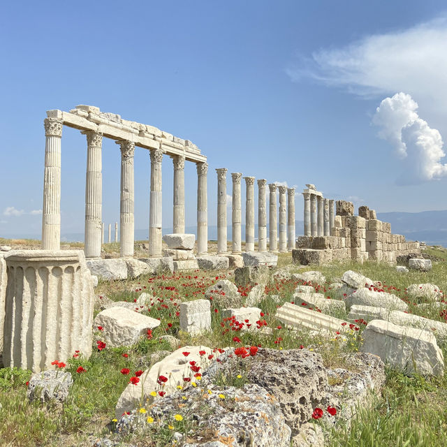 【穴場】現在進行形で発掘中の古代遺跡🇹🇷