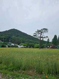 인천대공원 완벽 가이드 🚲🐾