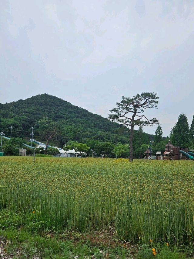 인천대공원 완벽 가이드 🚲🐾