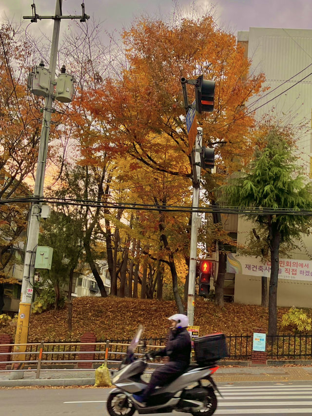 노을과 양꼬치, 디저트까지 완벽한 하루! 부산 소소한 국내여행 🌇🍢☕