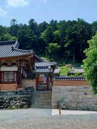 한옥 사찰의 고요한 매력 🌿