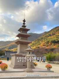밀양 힐링여행 다녀왔습니다! - 밀양여행지 💛🍀🌿