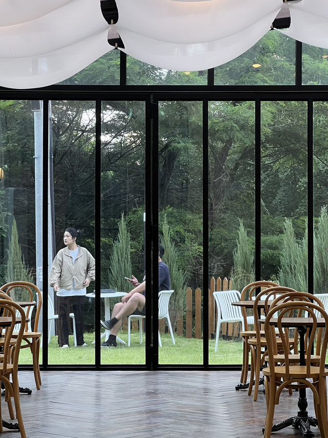 Reforest Café – คาเฟ่บรรยากาศธรรมชาติในแทจอน