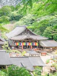 【奈良】7/6まで開催！紫陽花の池を見に行こう🩵