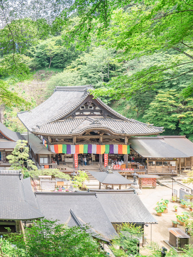 【奈良】7/6まで開催！紫陽花の池を見に行こう🩵